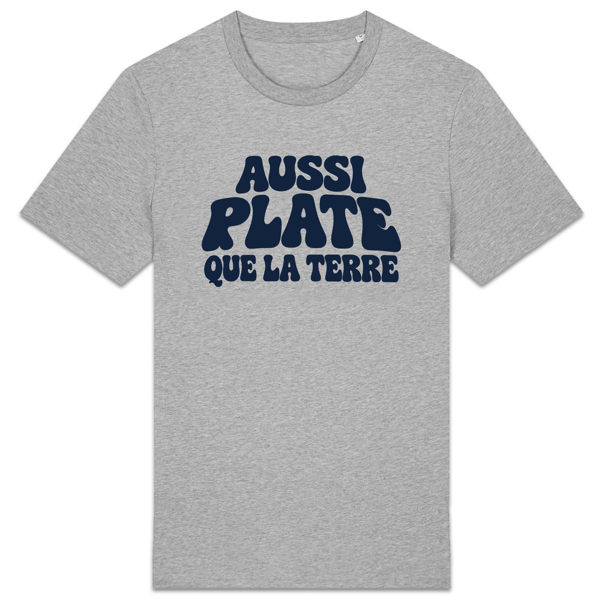 T-shirt Aussi plate que la Terre, coloris Gris