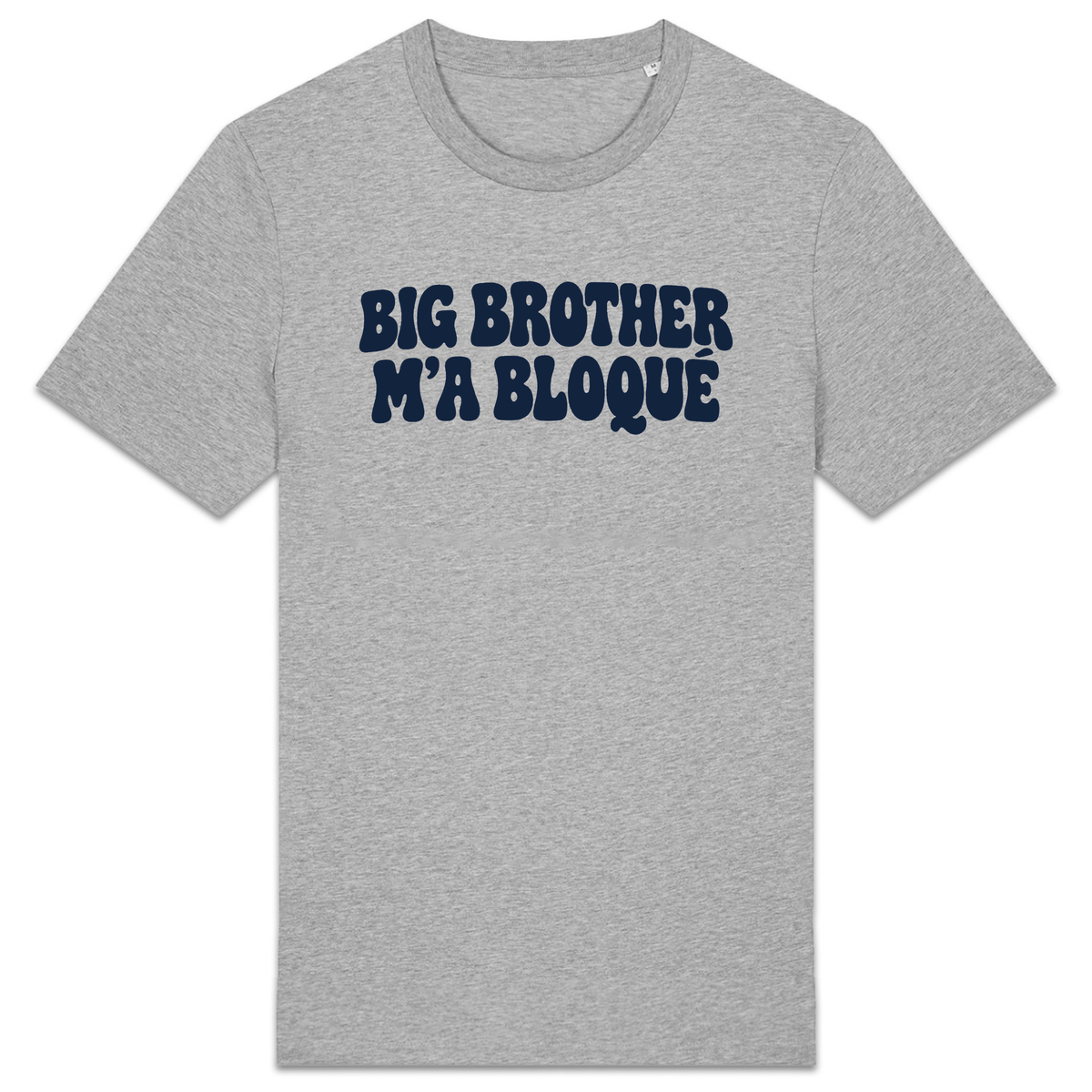 T-shirt Big Brother m’a bloqué, coloris Gris