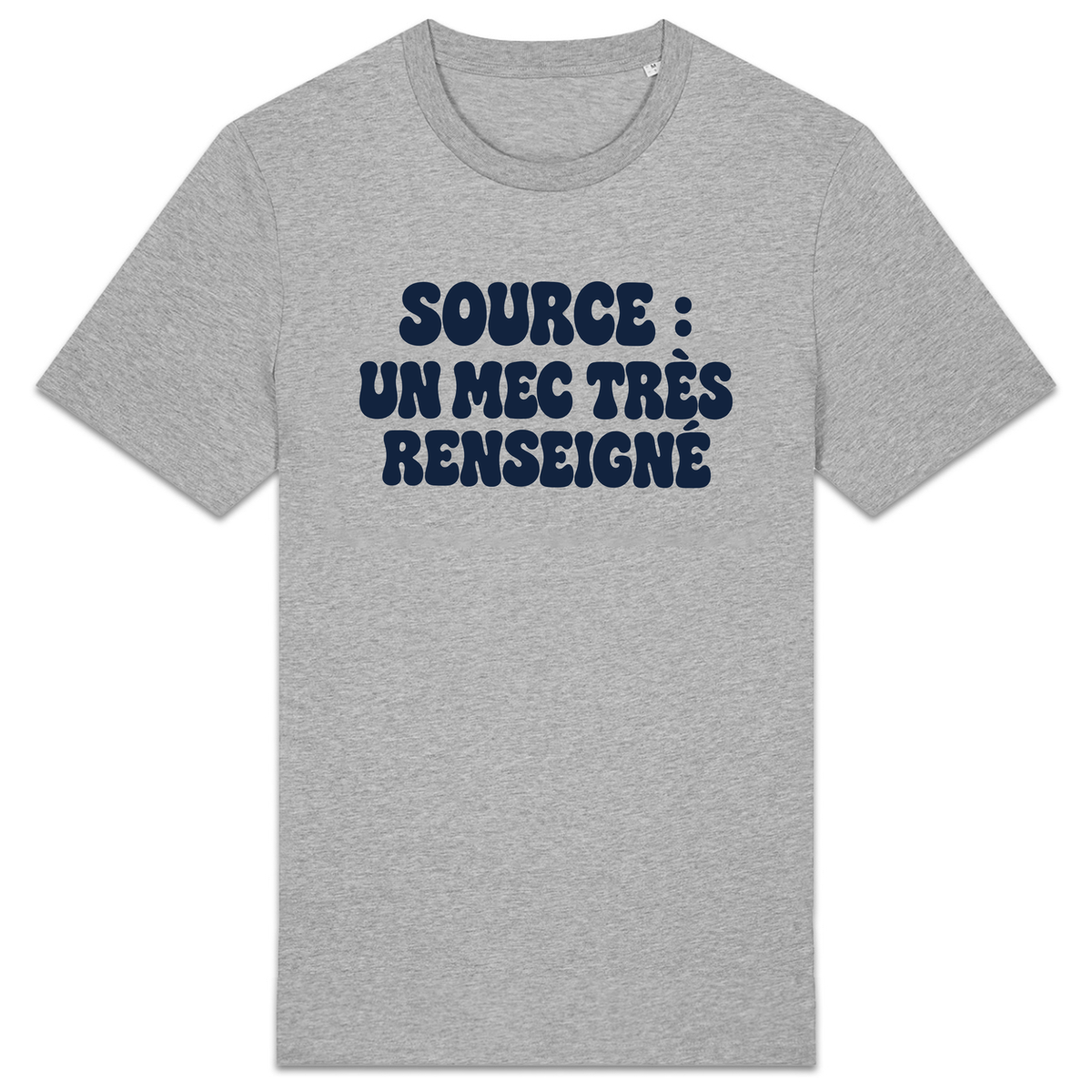 T-shirt Source : un mec très renseigné, coloris Gris